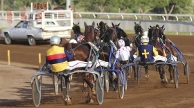 “Rischio crisi irreversibile per l’ippica romana” - Mediahorsesrace.com