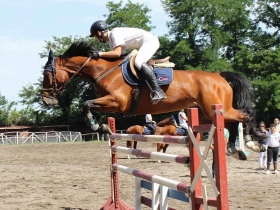 HIP HOP - Mediahorsesrace