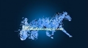 Ginciotroyancanf - Mediahorsesrace