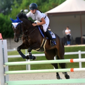 Ignatia del sole - Mediahorsesrace