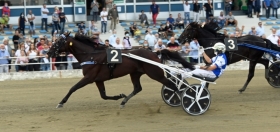 La verità dei numeri: l’ippica scommette sulla “fissa” e ignora il totalizzatore - Mediahorsesrace.com