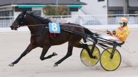 dal Masaf le Linee guida per l’utilizzo dei sistemi di tracking - Mediahorsesrace.com
