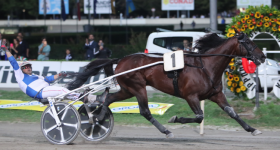 Benzoni al Masaf: 'Quali iniziative per la riforma delle scommesse - Mediahorsesrace