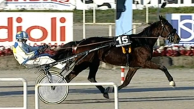 Eunapupa - Mediahorsesrace