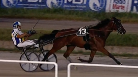 Eagle wise l - Mediahorsesrace