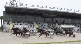 Corse di trotto senza frustino, l'ippodromo di Padova indica la via - Mediahorsesrace