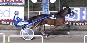 Gisella sat - Mediahorsesrace