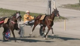 Glauce degli dei - Mediahorsesrace