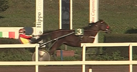 Fifth avenue grif - Mediahorsesrace