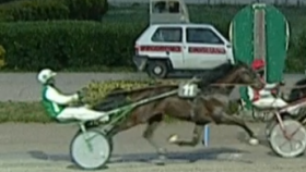  - Mediahorsesrace