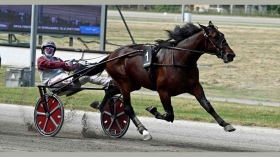 Ginostrabliggi facile nel Tito Giovanardi - Mediahorsesrace