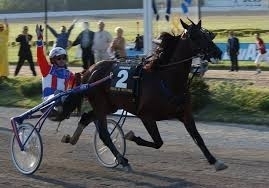 passerella ad Agnano per Varenne nel ricordo di Enzo Giordano - Mediahorsesrace