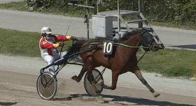  - Mediahorsesrace