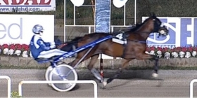  - Mediahorsesrace