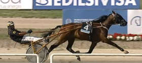 Ginko hp - Mediahorsesrace