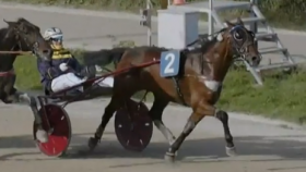  - Mediahorsesrace
