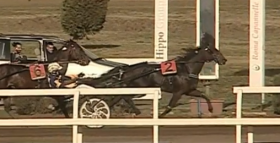 Fuentes cageors - Mediahorsesrace