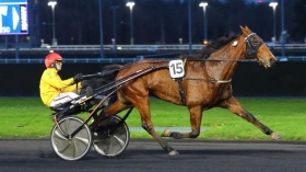 Il Gp Ponte Vecchio a Global Agreement - Mediahorsesrace