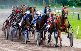 Scommesse anche all'estero sulle corse ippiche italiane - Mediahorsesrace