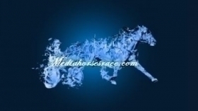 Millennium group - Mediahorsesrace
