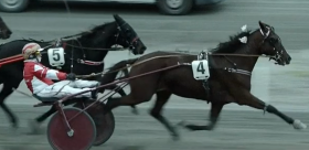 Greadly jet - Mediahorsesrace.com