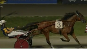  - Mediahorsesrace.com
