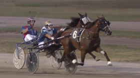  - Mediahorsesrace.com