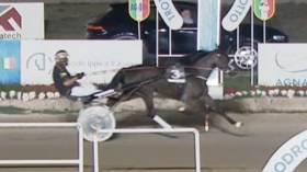  - Mediahorsesrace.com