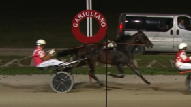  - Mediahorsesrace.com