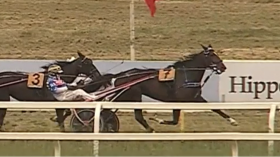  - Mediahorsesrace.com