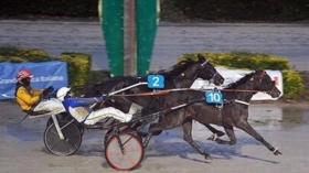  - Mediahorsesrace.com