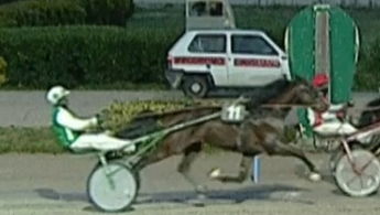  - Mediahorsesrace