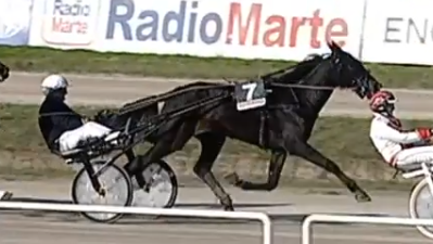  - Mediahorsesrace