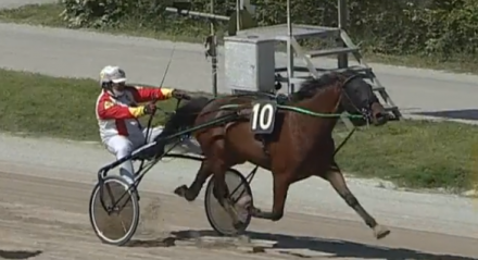  - Mediahorsesrace
