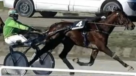  - Mediahorsesrace