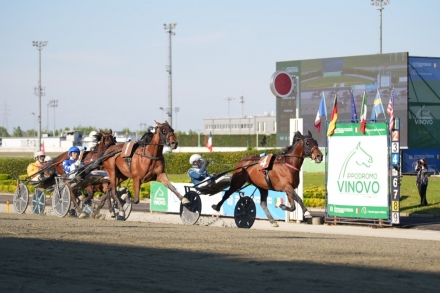 PUBBLICIZZA I TUOI STALLONI SU "TROT STALLIONS DIRECTORY" PER LA STAGIONE 2026 - Mediahorsesrace.com