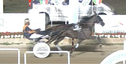  - Mediahorsesrace.com