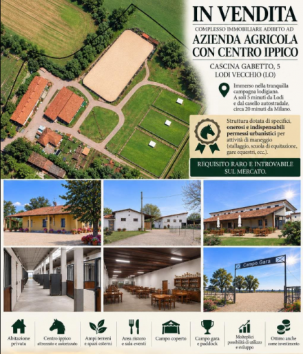 PER INSERIRE I VOSTRI IMMOBILI IN VENDITA O PER INFORMAZIONI 392 8167530 - Mediahorsesrace.com