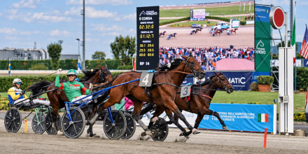 PUBBLICIZZA I TUOI STALLONI SU "TROT STALLIONS DIRECTORY" PER LA STAGIONE 2026 - Mediahorsesrace.com