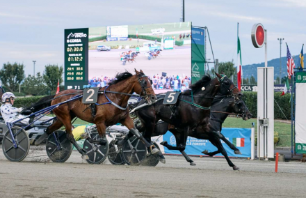Vinovo, il day after | Finale UET Circuit, strapotere Frank Gio - Mediahorsesrace.com