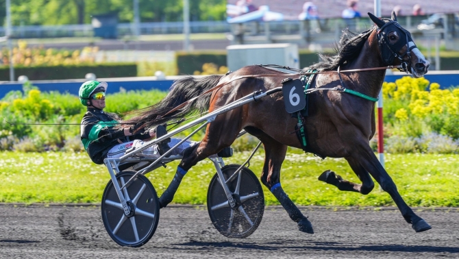 PER INFORMAZIONI E CONTATTI SUI CAVALLI IN VENDITA 392/8167530 - Mediahorsesrace